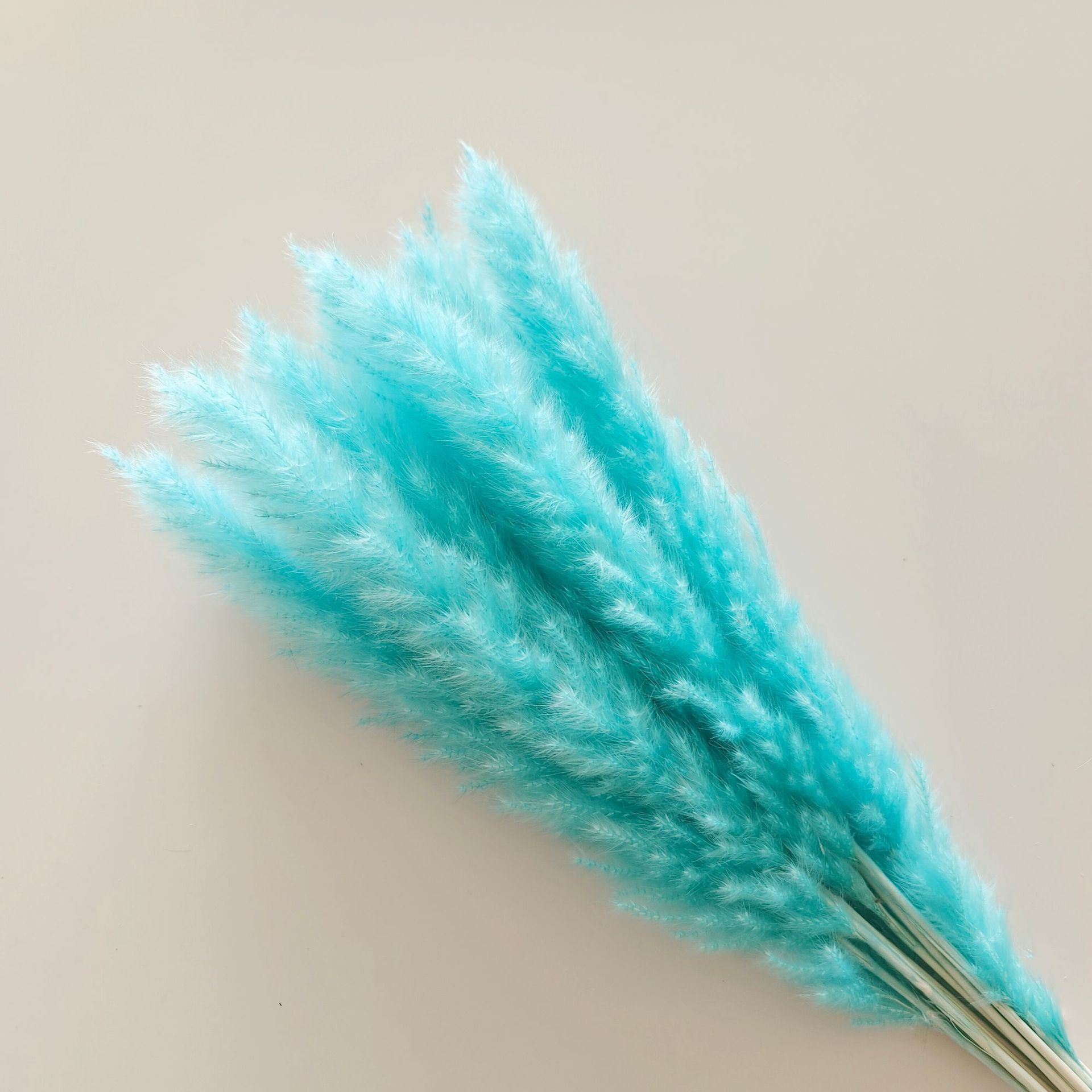 하늘색 가지 15개