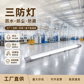吸顶灯;室外壁灯;隧道灯具