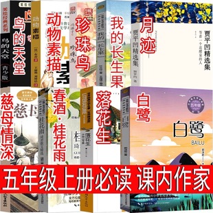 ���꼉�σ԰����仨�����ƹ��������B��ĸ�����B���������E�ҵ�