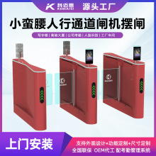 小蛮腰人脸识别摆闸人行通道闸健身房防撞翼闸写字楼不锈钢闸机厂