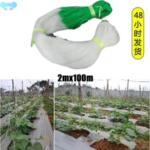 2x100m Trellis Netting For Climbing Plants Heavy Duty Garden