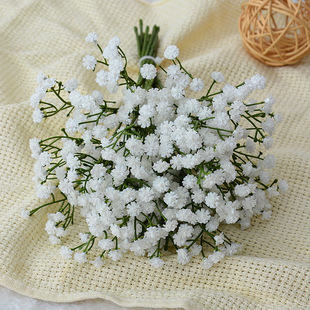 ����С����ɫ�M�������l�ٻ��������Q�廨�Ҿ��b�c����������