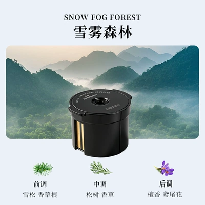 Car Perfume Aromatherapy, Fragrance, Light Luxury, Long-Lasting Fragrance - snowy-mist-forest-1-incense-box