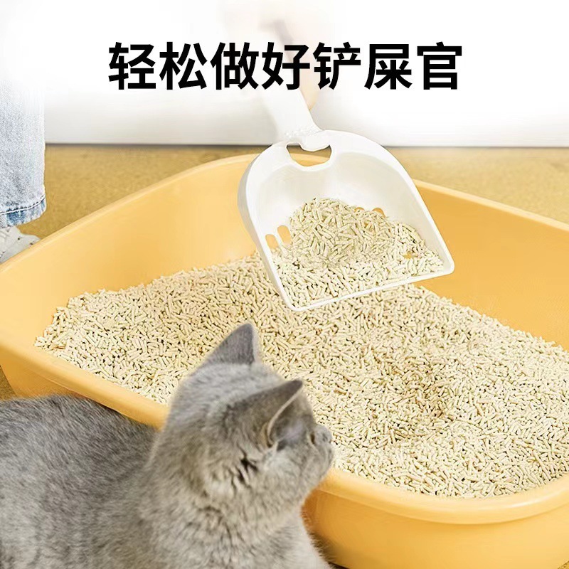 白茶消臭豆腐猫砂 5kg 袋入り 大袋 猫舎 多頭飼い用 豆腐砂 猫用品 送料無料 消臭|undefined