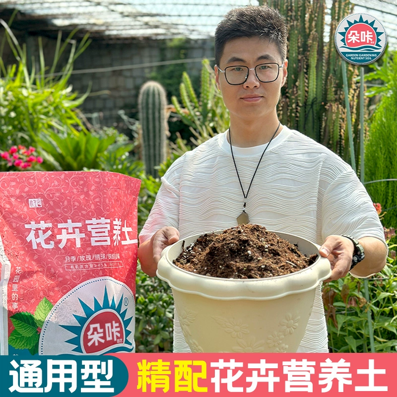 Цветущая каркаса, почва, розовая гортензия, специальная универсальная питательная почва для орхидей, зеленая посадка, высококачественная почва, питательная почва