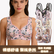 ��a�¿�������������m����o�Ȧ���؂��վ۔n�����{��������Ů