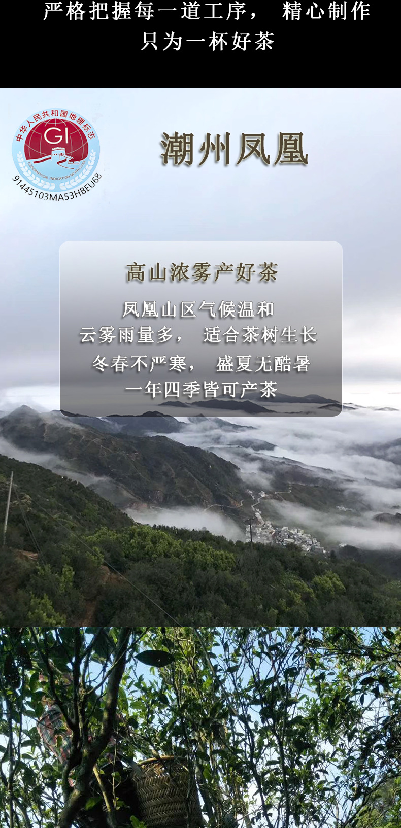 凹富后详情_06.png
