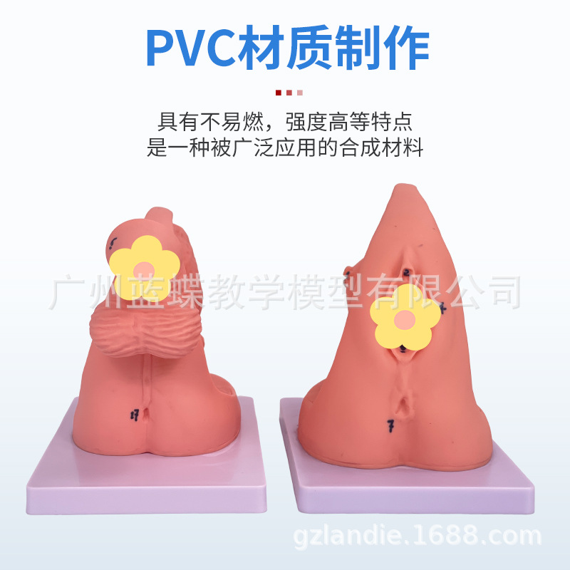 Ů��������ֳ������ ���׵���ѵ����ʾ��ϰ ��������ϵͳ��ѧģ��