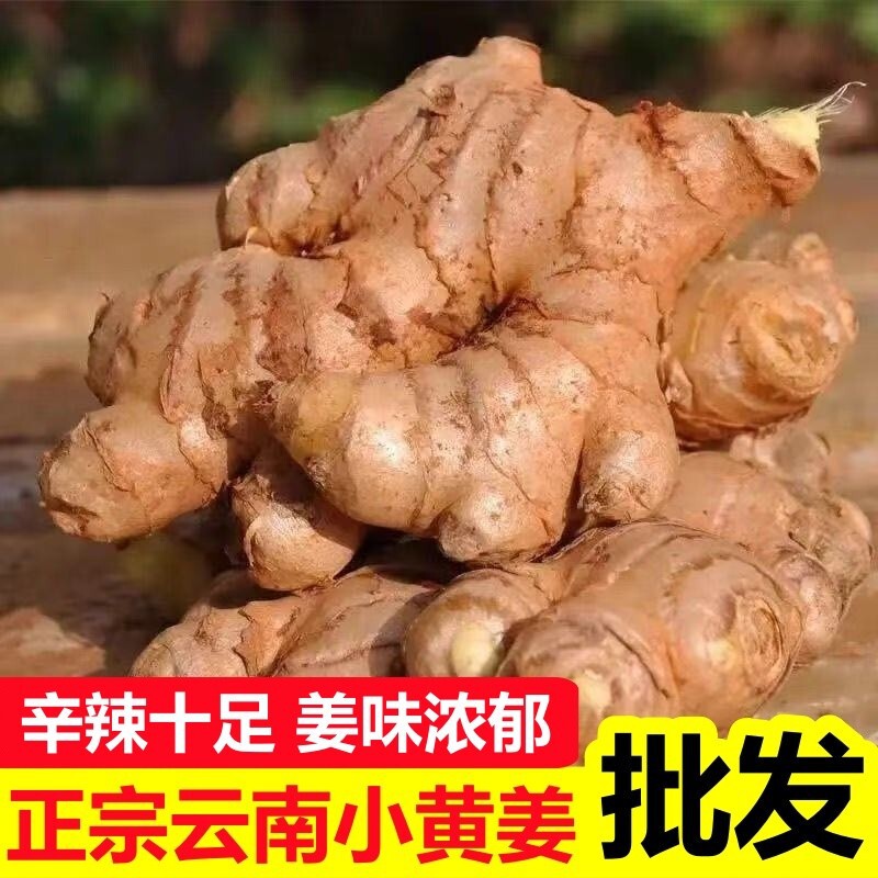 Authentic Yunnan small yellow ginger, old ginger, postpartum ginger, whole box, sulfur-free, freshly harvested from the mountains Authentic Yunnan small yellow ginger, old ginger, postpartum ginger, whole box, sulfur-free, freshly harvested from the mountains