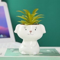 Foreign Trade Ceramic Cartoon Succulent Planter Cross-border Home Decor Animal Green Plant Pot Office Personality Creative Ceramic Ornament