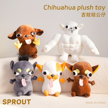 呆萌吉娃娃毛绒玩具公仔可爱网红小狗搞笑创意狗狗玩偶礼物批发