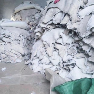 Ƥëһ�w����q�ɰ�Ҫ��ü����b��đ����qЬ����ëƤ�|�����е�