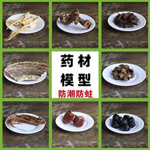 [Oʯģ͘˱е˅ƽ̲tb̾