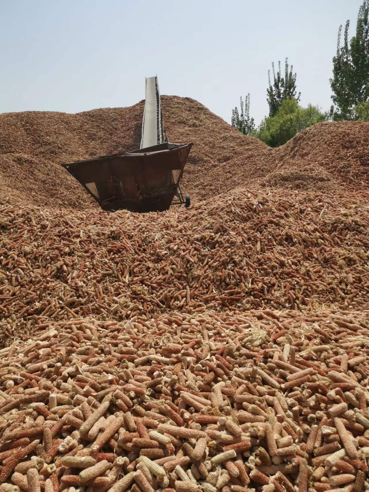 7795a058c75ecd0d5fd7a4582524ed