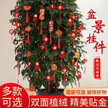 2025�¿�ֲ�qС���\����辰�b��ô����҃ȸ��֘��ϑ���С���