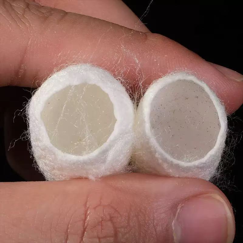 Silkworm Cocoon Shell (Bombyx mori) — Dried TCM Herb, Clean Unsulfured, 500g quality and texture