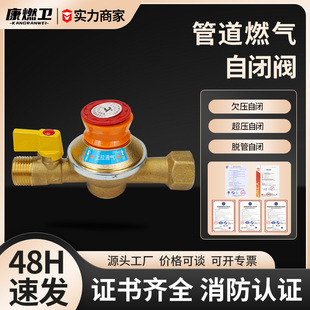 �ܵ�ȼ�����]�y������Ȼ�ⰲȫ�y���I©�ⳬ��Ƿ���Ԅ��Д��p���y