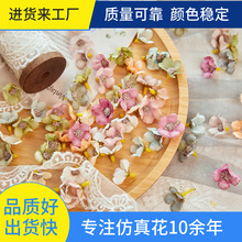 ���滨����С���^����b�������^ٻ��S�ƿ������l����