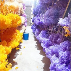 永生小葉安娜漂色單枝繡球 永生花diy裝飾浮游花輔材雲南工廠批發