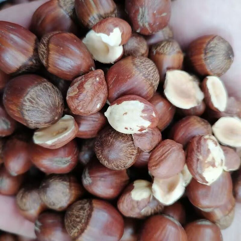 [Factory Direct Delivery] 2025 New Northeast Tieling Specialty Wild Hazelnuts Thin-Skinned Hazelnuts Roasted Nuts Specialty