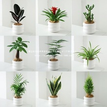 �lؔ���k���ҾGֲ���B��߼����澫�µ��mС���Ի�������ֲ���҃�