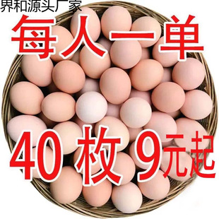 ���ɢ�B���u���I�B�x����r�����ӵ�ι�B���u�����u�����rȫ��