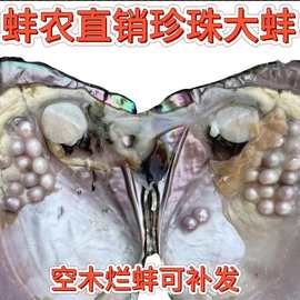 爱迪生蚌批发养殖户珍珠蚌活蚌自己开单珠珍珠蚌河蚌鲜活
