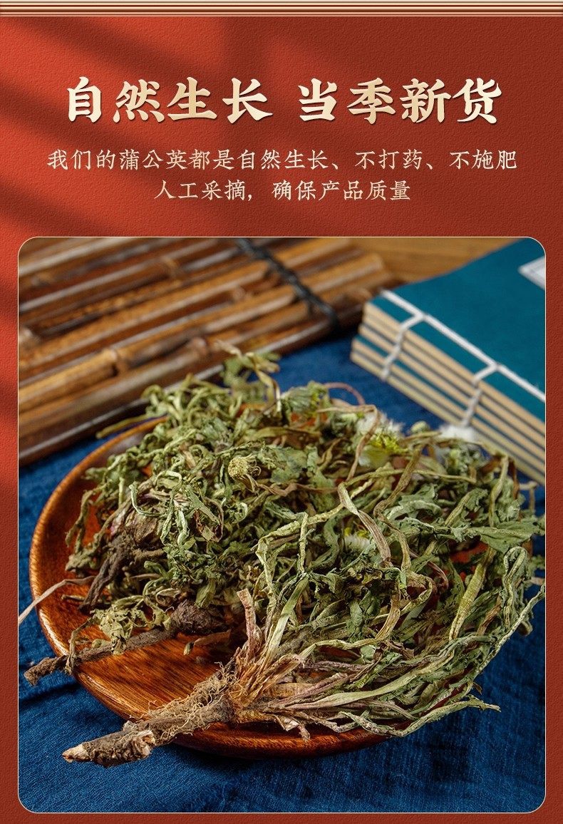 Dried Dandelion Root and Leaf Whole Plant 500g Wild-Harvested Pugongying Herbal Tea Ingredient specifications
