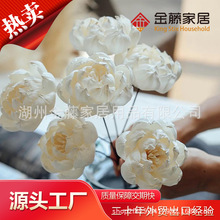 ͨ�ݻ�-�o����޹�]�l��ɢ�����ͥ��޹