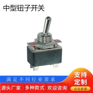 TS-1308 medium button switch
