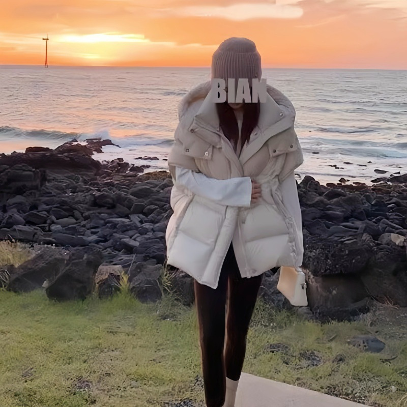 Down Vest Women's Hot Style 2025 Winter New Internet Celebrity Hot Style Small Person Outer Wear Foreign Style Versatile Hooded Waistcoat