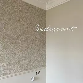 墙纸、壁纸;墙布