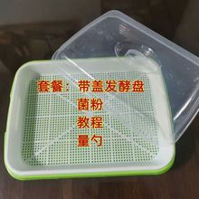 霉豆腐发酵盘做乳的工具做工具腐乳