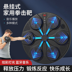 音楽ボクシングマシンのトレーニング器材の立式ボクシングの練習標的のフィットネス用品の電子ボクシングの壁の標的のボクシングの標的