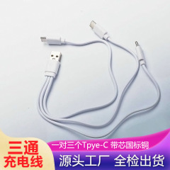 工場直販 1対3 デジタルケーブル 3-in-1 Type-c 環境に優しい充電ケーブル モバイル電源ケーブル