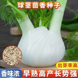 ���o����N�ӽY��С��������������С�~����N���ļ������߲˷N��