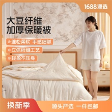 A类母婴级大豆纤维子母被二合一拉链款被子冬被加厚保暖棉被被芯