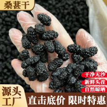 正宗新疆黑桑葚干袋装特级无硫桑椹果干即食泡酒私发大量商用批发