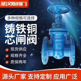 厂家供应铸铁铜芯闸阀 法兰防护闸阀密封性好 多种规格铜芯闸阀