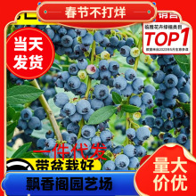 һ�����l�{ݮ����������{÷���玧�����ݮ�҃��ͺ��ϱ���܇����