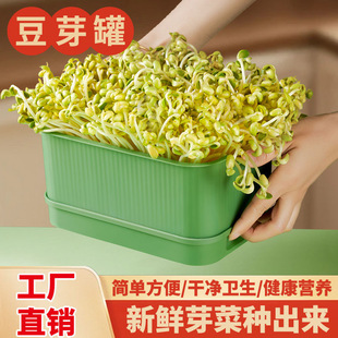 Bean Sprout Pot Household Sprouting Bean Sprout Machine Bean Sprout Tray Water Culture Seedling Pot Household Balcony Vegetable Sprouting Pot