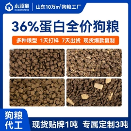 猫猫干粮;狗狗干粮;猫猫湿粮