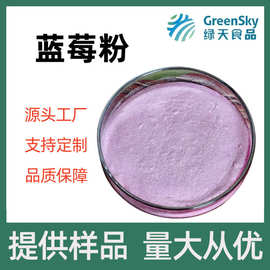 蓝莓粉蓝莓果汁粉固体饮料奶昔原料水果粉蓝莓提取物水溶性食品