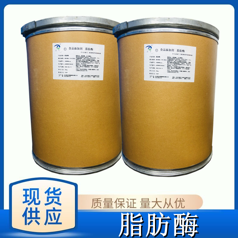 脂肪酶 食品级生物酶制剂 脂肪分解酶 实验试剂 现货供应