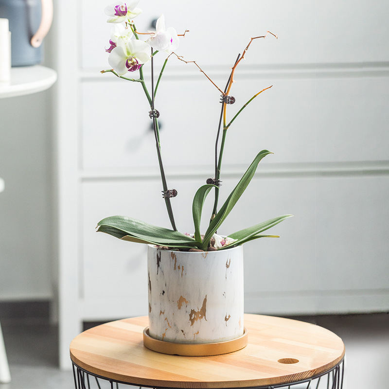 Phalaenopsis Orchid Flower Pot Ceramic Marble Pattern Gold Light Luxury High-End Home Flower Pot with Tray Wholesale Cross-Border Export Phalaenopsis Orchid Flower Pot Ceramic Marble Pattern Gold Light Luxury High-End Home Flower Pot with Tray Wholesale Cross-Border Export