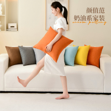 ZJ05棉麻奶油风抱枕素色靠垫纯色沙发靠枕客厅床头靠背垫套子正方