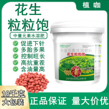 花生膨大粒粒饱防病高产套餐多结果防徒长矮壮多籽控旺专用叶面肥