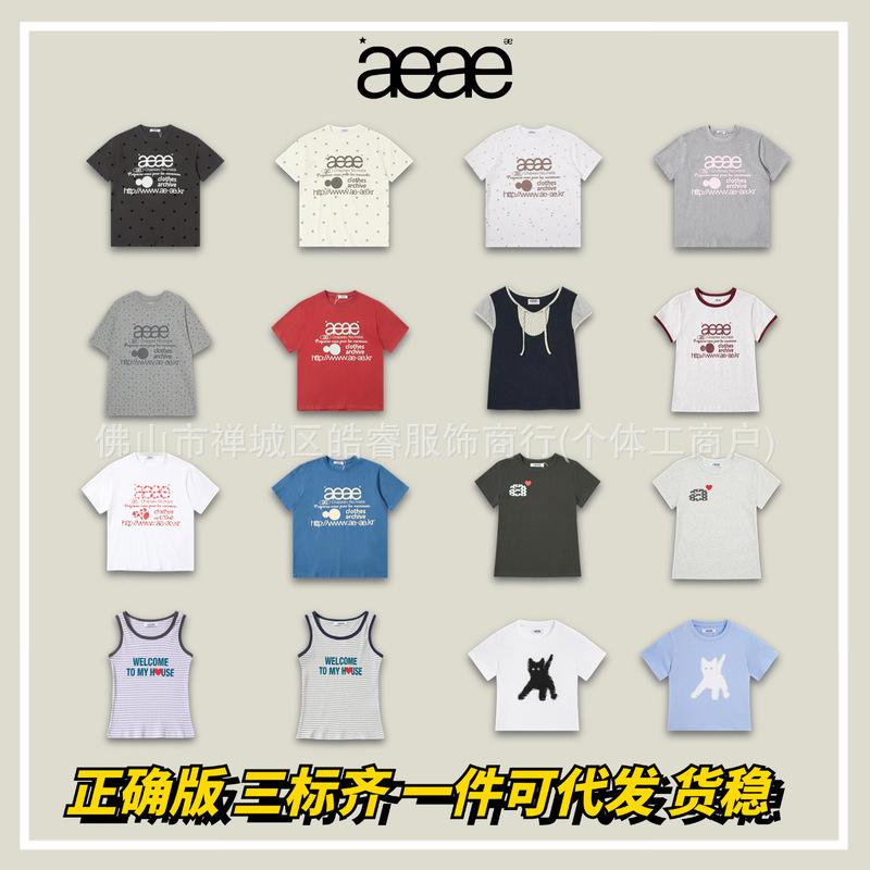 [in Stock] Korean Niche Brand Aeae Summer New Collection Short-Sleeve T-Shirt for Women, Casual Loose Pure Cotton Top for Men