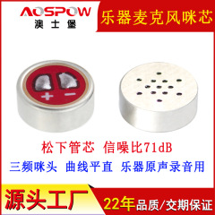 オーストラリアの砦mic工場は楽器ピックアップ用のマイクを供給しています。