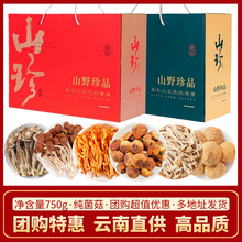 山珍菌菇礼盒春节年货云南特产羊肚菌汤包公司礼品批发干货大礼包